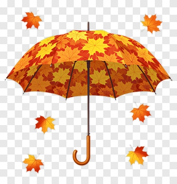 Colorful Umbrella With Autumn Leaves PNG
