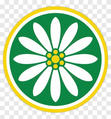 Daisy Flower Emblem PNG