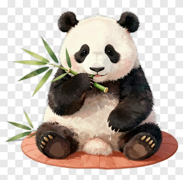Cartoon Panda Eating Bamboo PNG