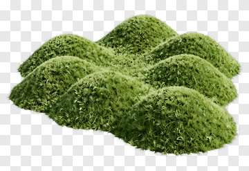Green Grass Mounds PNG