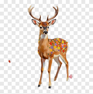 Colorful Deer With Floral Pattern PNG