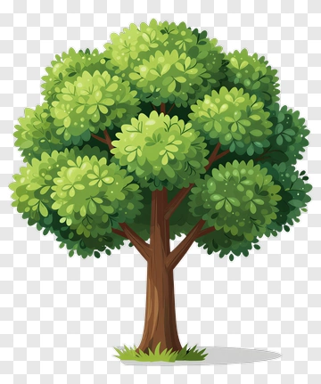 Colorful Tree PNG