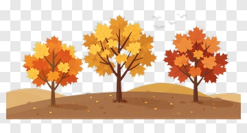 Colorful Autumn Trees PNG