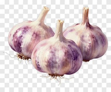 Three Garlic Bulbs PNG