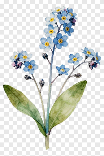 Watercolor Blue Flower Bouquet PNG