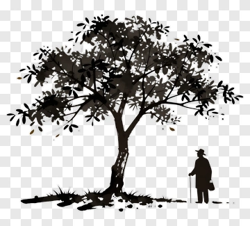 Silhouette Of A Man Standing Under A Tree PNG