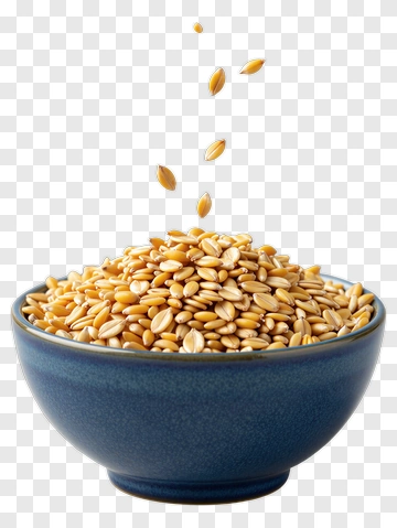 Bowl Of Sesame Seeds PNG