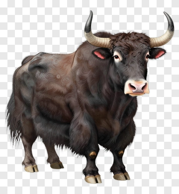 Realistic Black Bull PNG