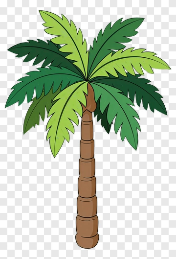 Cartoon Palm Tree PNG