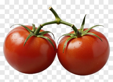 Fresh Red Tomatoes PNG