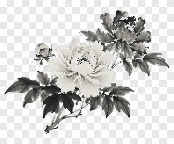 Black And White Peony Flowers PNG