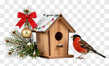 Christmas Birdhouse With A Bullfinch And Pine Tree PNG