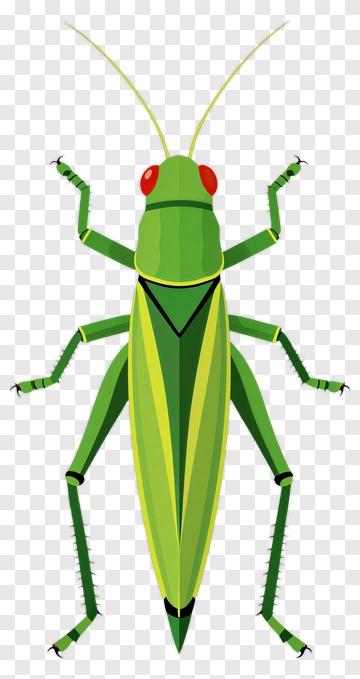 Green Grasshopper With Red Eyes PNG