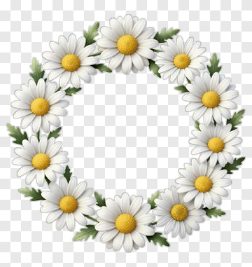 Daisy Flower Wreath PNG