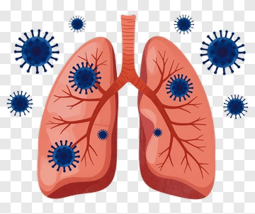 Lungs With Virus Illustrations PNG