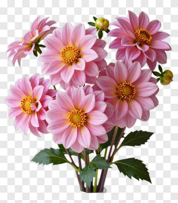 Pink Flower Bouquet PNG