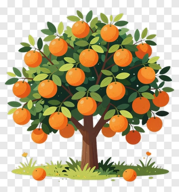 Colorful Orange Tree PNG