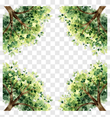 Watercolor Tree Branches With Green Leaves PNG