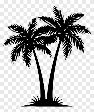 Silhouette Of Two Palm Trees PNG