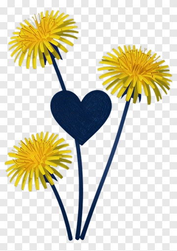 Yellow Dandelions With A Heart PNG