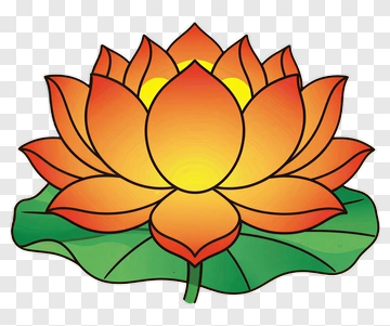 Colorful Lotus Flower PNG
