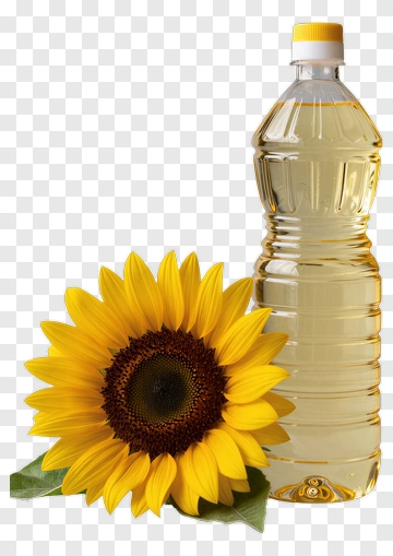 Sunflower Beside A Bottle Of Cooking Oil PNG