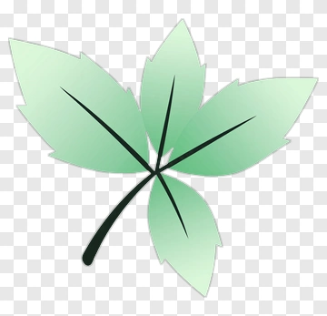 Green Leaf PNG
