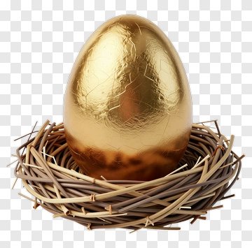 Golden Egg In A Nest PNG