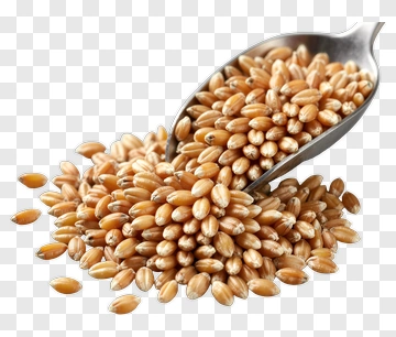 Spoonful Of Wheat Grains PNG