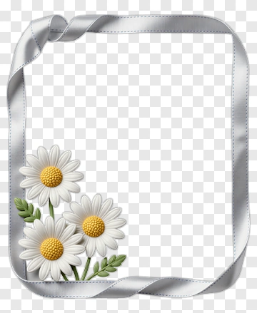 Daisy Flower Frame With Silver Ribbon PNG