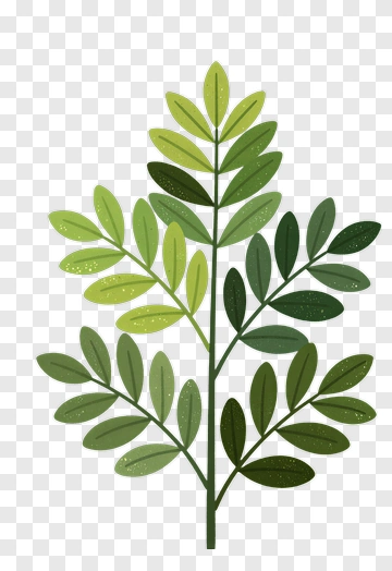 Colorful Green Leafy Branch PNG