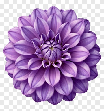 Purple Flower PNG