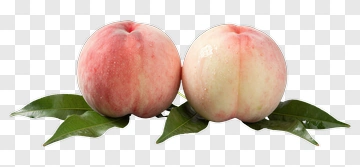 Fresh Peaches With Green Leaves PNG