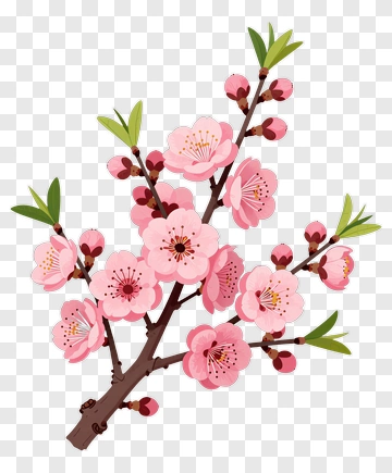 Cherry Blossom Branch PNG