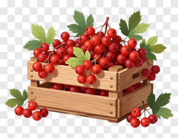 Wooden Crate Filled With Red Berries PNG