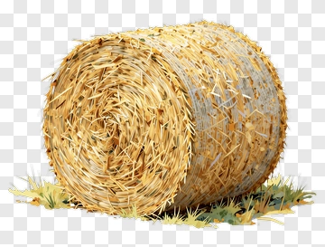 Hay Bale On Grass PNG
