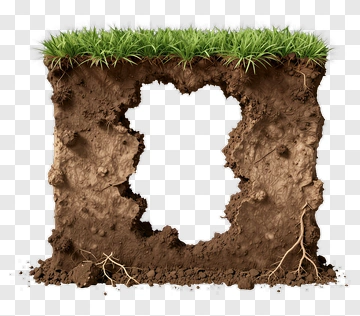 Soil Cross-Section With Grass And Roots PNG