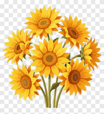 Bouquet Of Sunflowers PNG