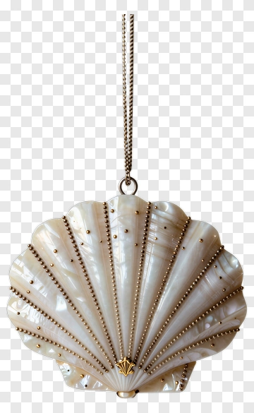 Decorative Shell Pendant PNG