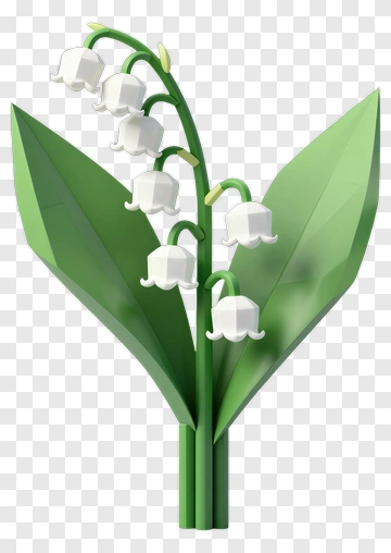 3D Lily Of The Valley Flower Bouquet PNG