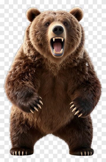 Realistic Grizzly Bear Roaring PNG