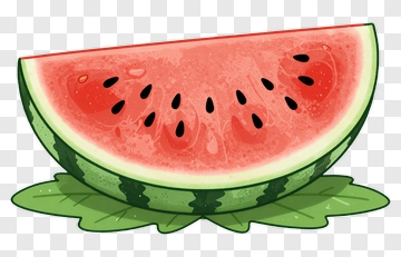 Watermelon Slice On Green Leaves PNG