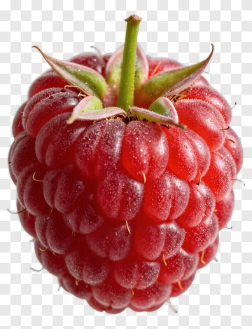 Fresh Red Raspberry PNG