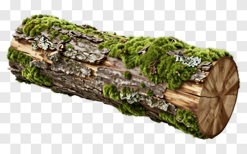 Mossy Log PNG