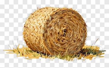 Hay Bale On Grass PNG