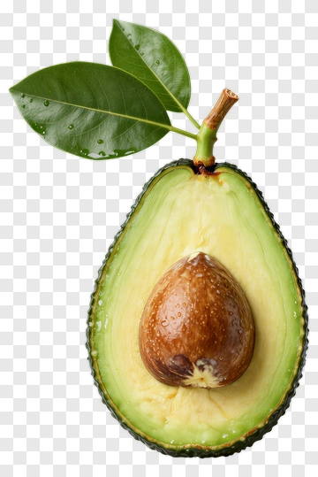 Avocado With Leaves PNG