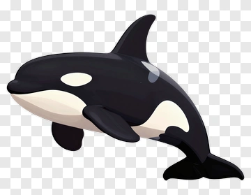 Cartoon Orca Swimming PNG