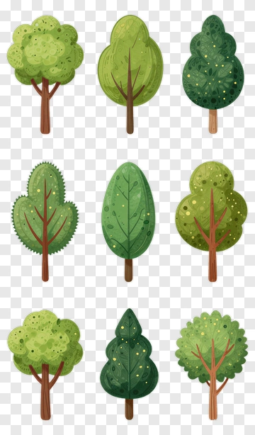 Collection Of Colorful Trees PNG