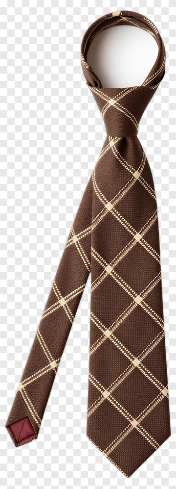 Brown Checkered Tie PNG