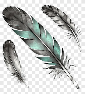 Colorful Feathers PNG